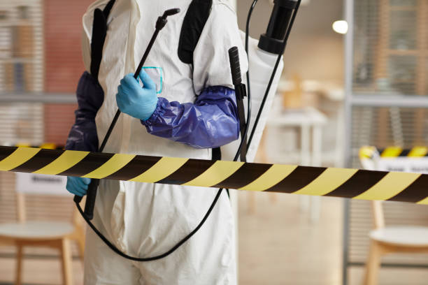 Professional Sewage Cleanup technician working in Ducor, CA